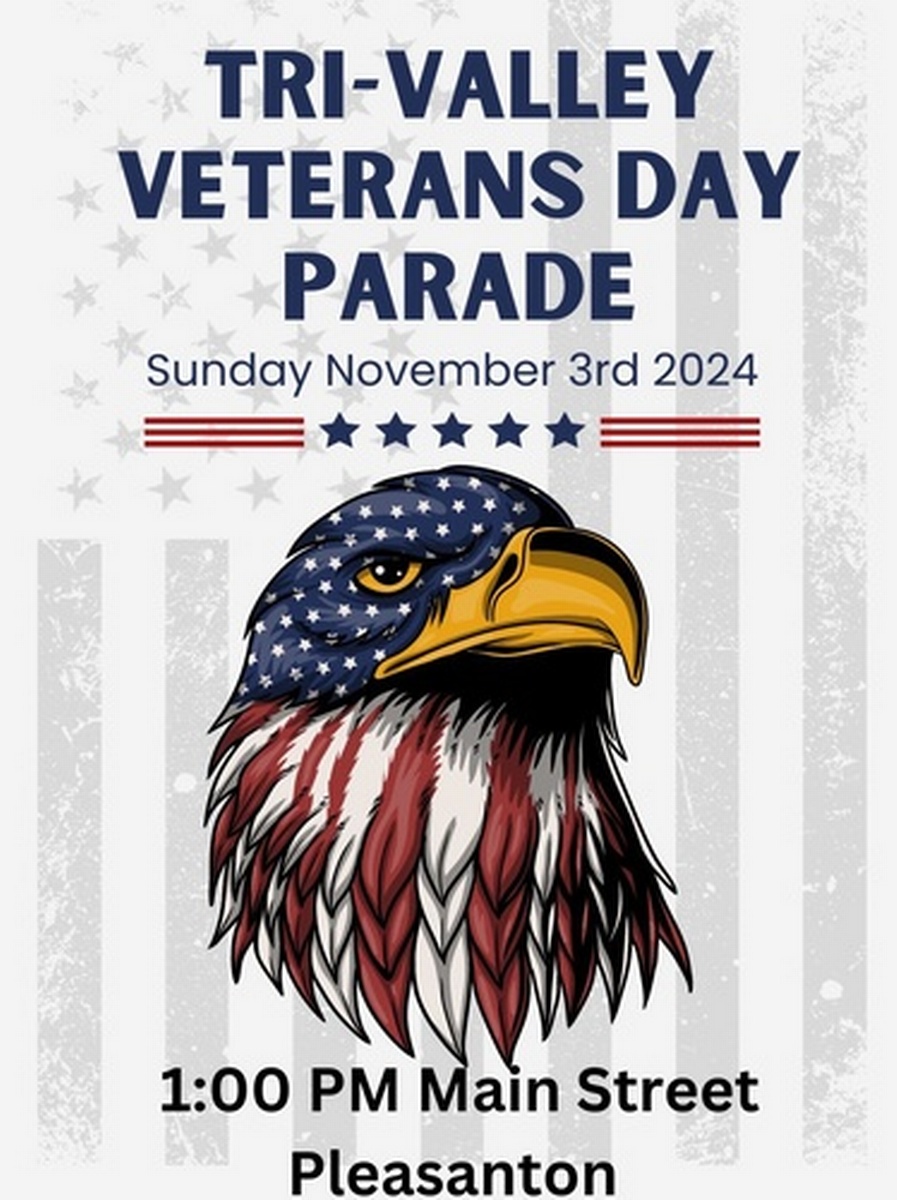 Veterans Day Parade 2024 Nov 3, 2024